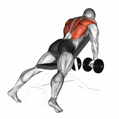 Dumbbell Incline Row exercise targeting Back and Infraspinatus