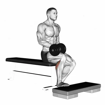 Dumbbell Seated One Leg Calf Raise exercise targeting Calves and Gastrocnemius