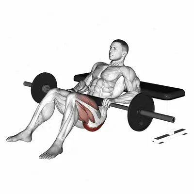 Barbell one leg hip thrust exercise targeting Hips and Gluteus Maximus