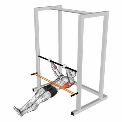 Resistance Band Inverted Row exercise targeting Back
