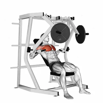 Lever Decline Chest Press exercise targeting Chest and Pectoralis Major Sternal Head