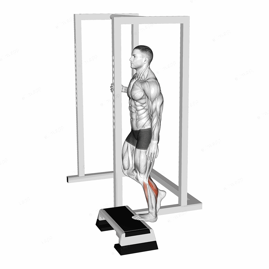 Elevated Standing Single Leg Calf Raise exercise targeting Calves