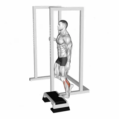 Elevated Standing Single Leg Calf Raise exercise targeting Calves