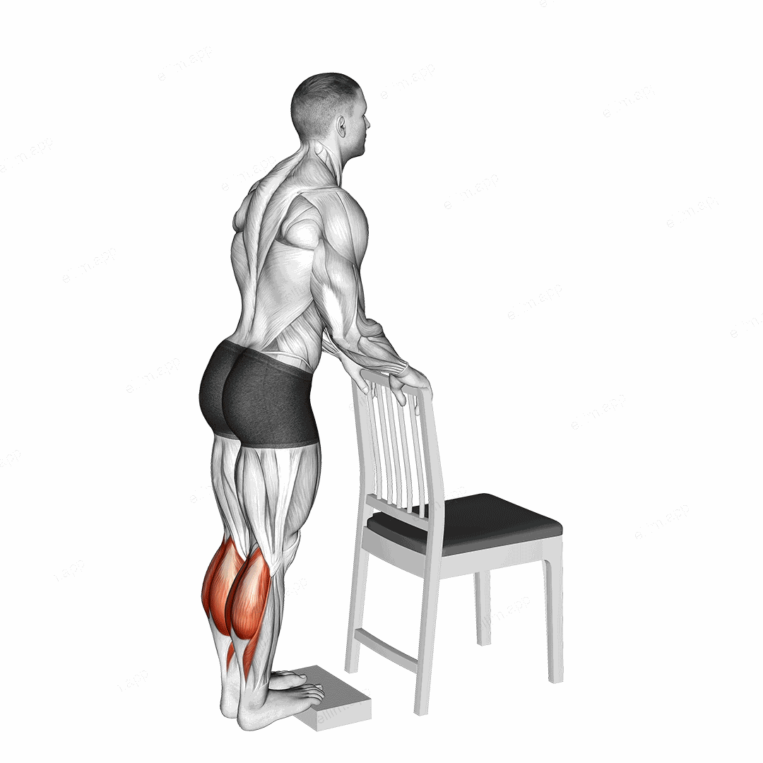 Calf Raise from Deficit with Chair Supported exercise targeting Calves and Gastrocnemius