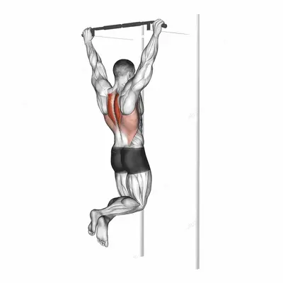 Scapular Pull Up exercise targeting Back