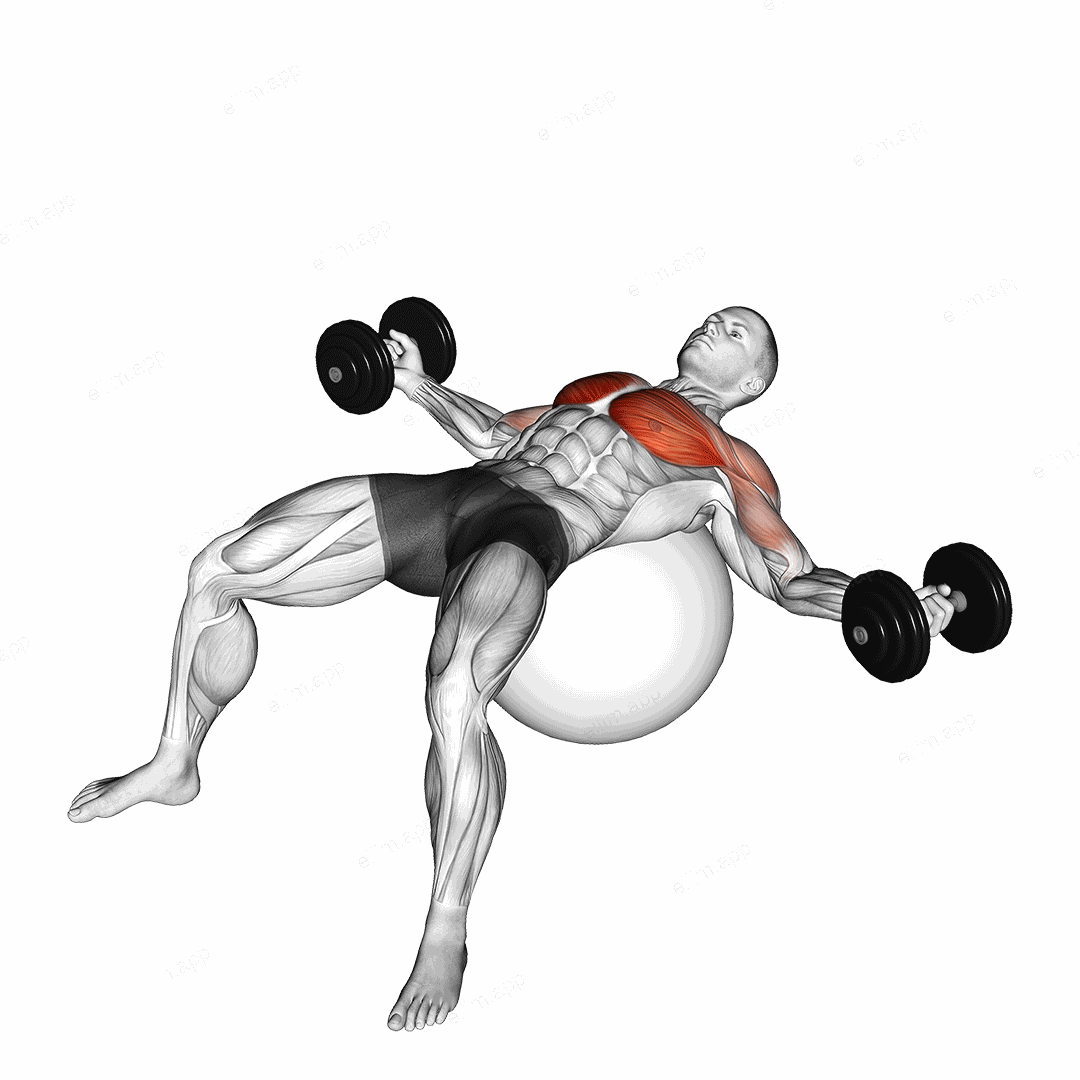 Dumbbell Fly on Exercise Ball exercise targeting Chest and Pectoralis Major Sternal Head