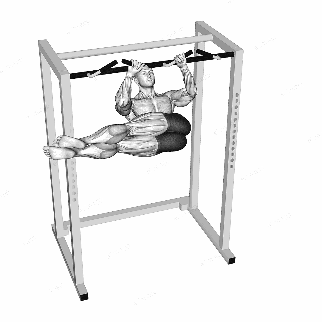 Hanging Straight Twisting Leg Hip Raise exercise targeting Waist and Obliques