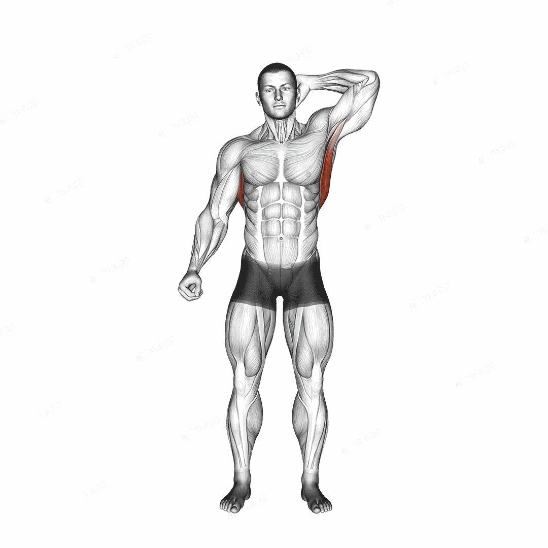 Standing Lateral Stretch exercise targeting Back and Latissimus Dorsi