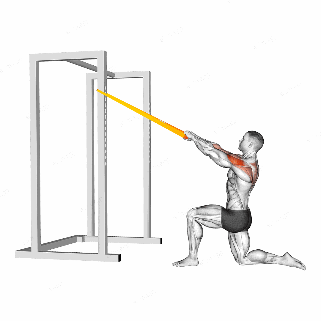 Resistance Band Half Kneeling Face Pull exercise targeting Shoulders and Deltoid Posterior