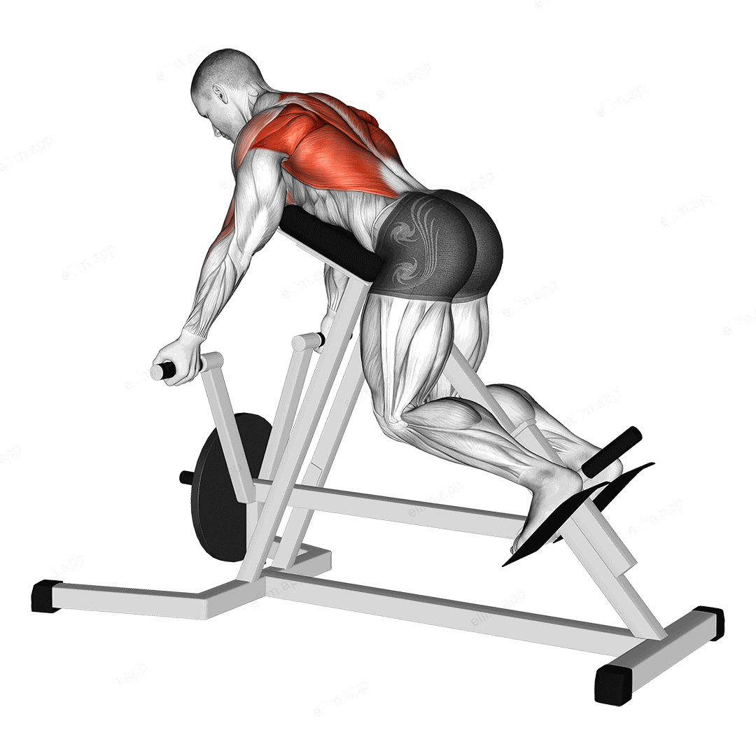 Lever Reverse T Bar Row exercise targeting Back