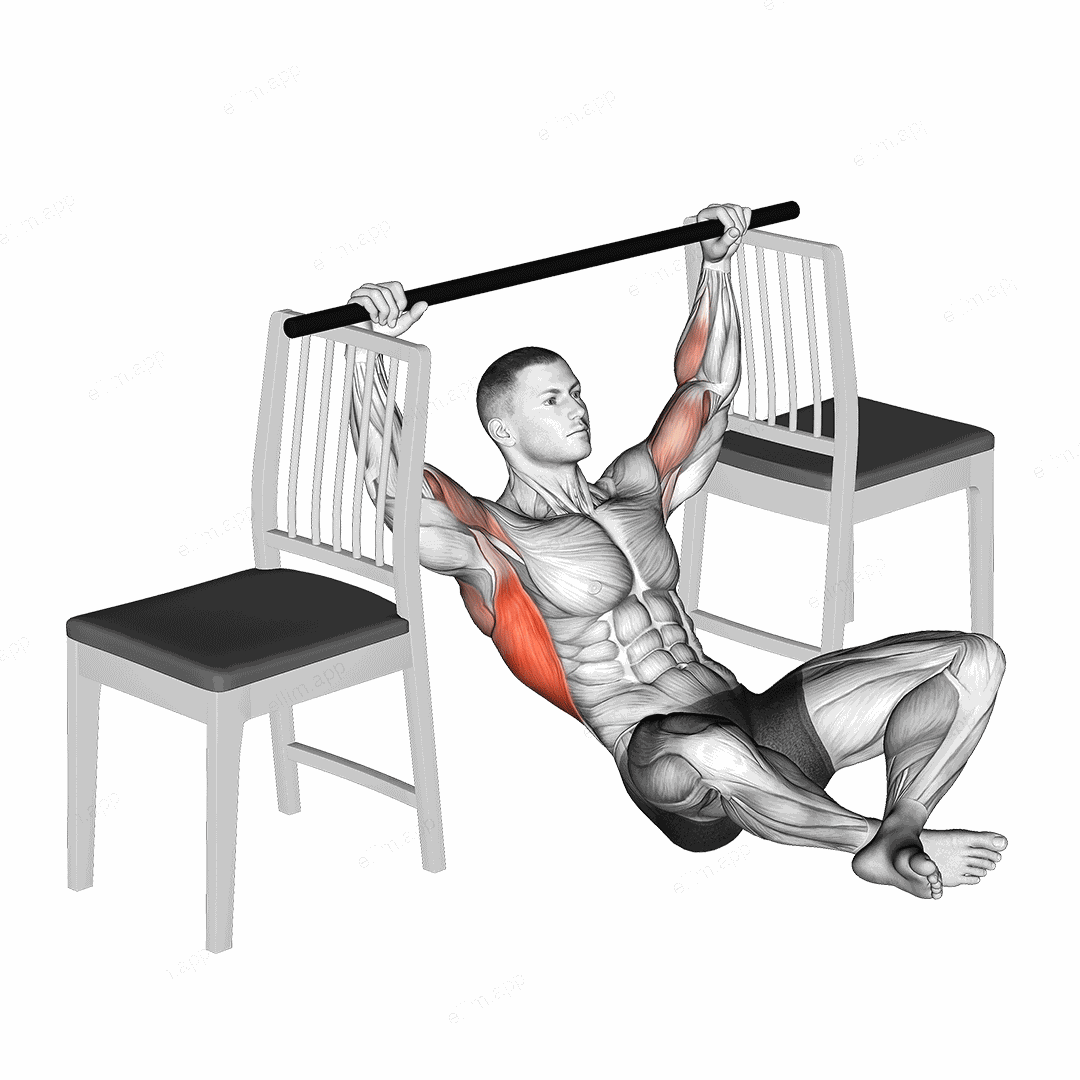 Seated Pull up between Chairs exercise targeting Back