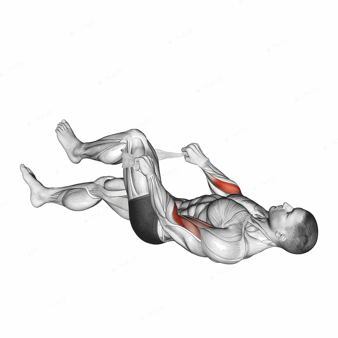 Lying Single Legs Reverse Biceps Curl with Towel exercise targeting Forearms and Brachioradialis