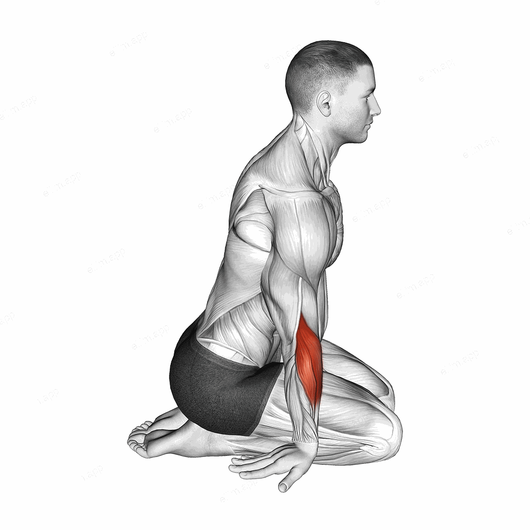 Seated Forearms Stretch exercise targeting Stretching