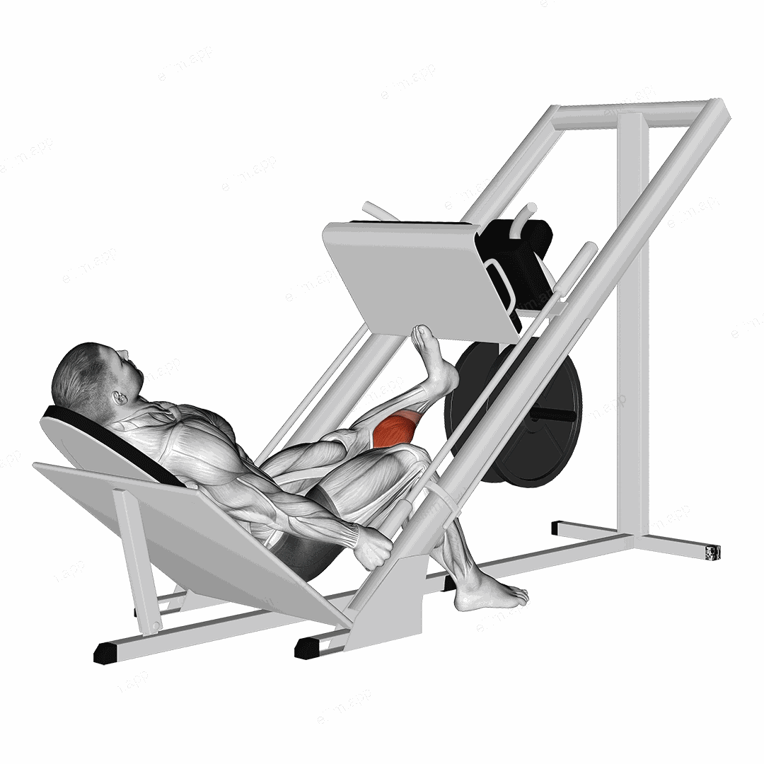 Sled One Leg Calf Press on Leg Press exercise targeting Calves and Gastrocnemius