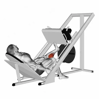 Sled One Leg Calf Press on Leg Press exercise targeting Calves and Gastrocnemius