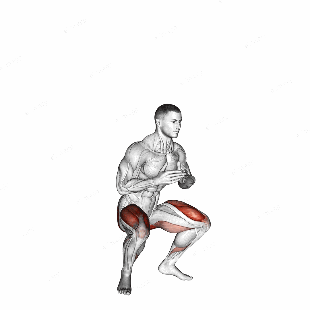 Jump Squat exercise targeting Thighs and Gluteus Maximus