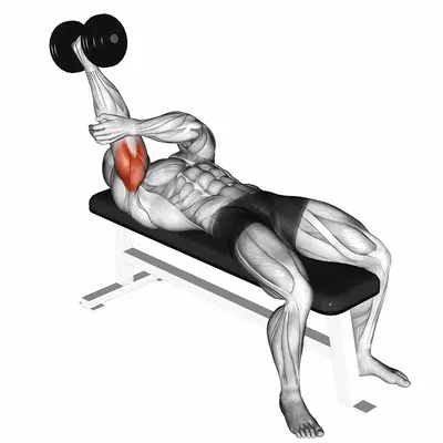 Dumbbell Lying One Arm Supinated Triceps Extension exercise targeting Upper Arms and Triceps Brachii