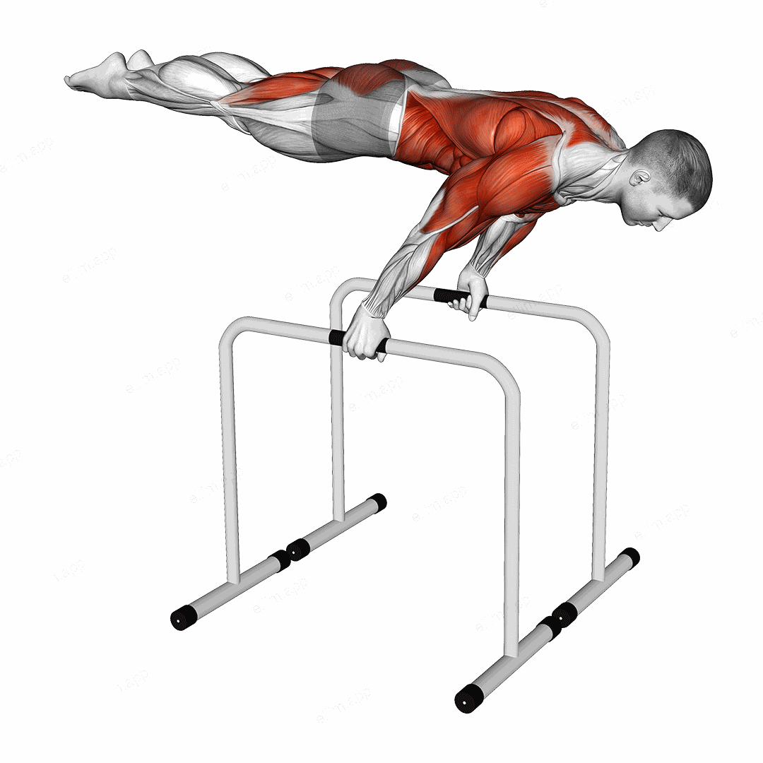 Planche Dip on Parallel Bars exercise targeting Waist