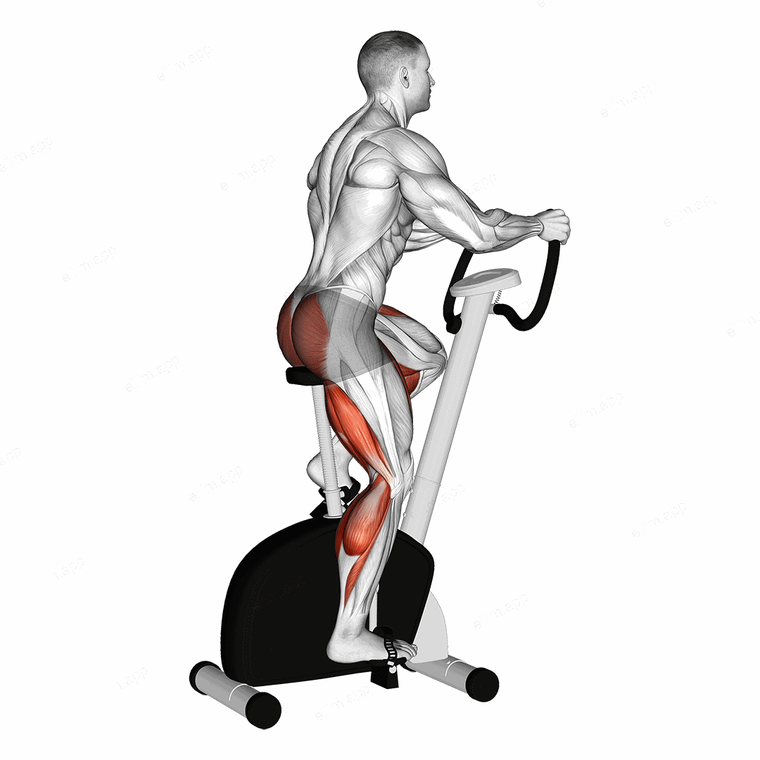 Stationary Bike Walk exercise targeting Cardio