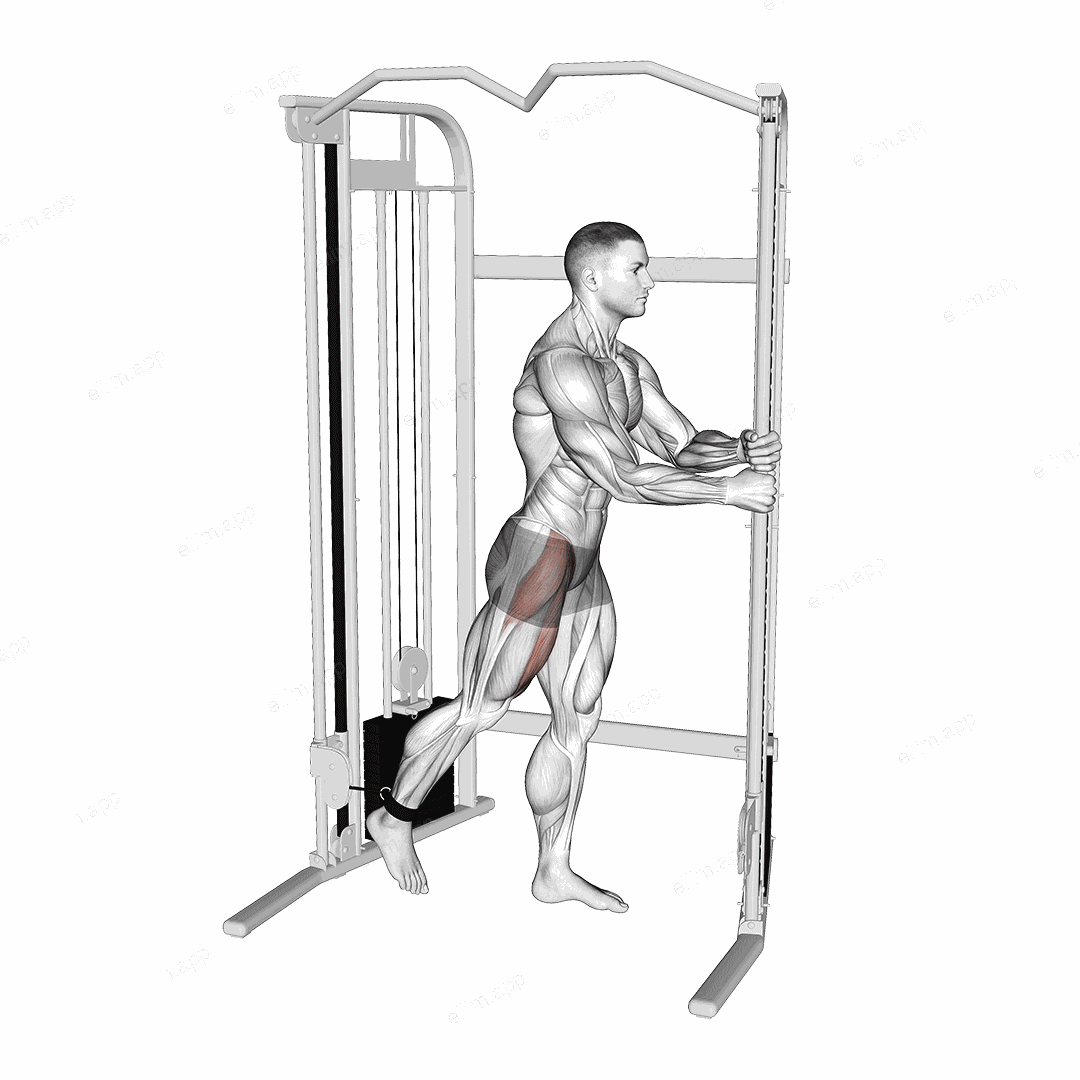 Cable Standing Hip Flexion exercise targeting Hips