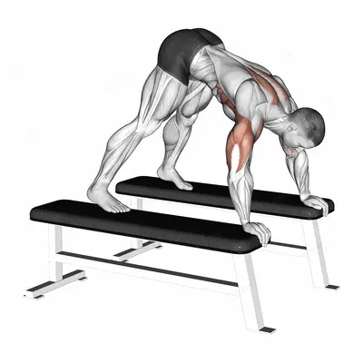 Pike Press (between benches) exercise targeting Shoulders and Deltoid Anterior