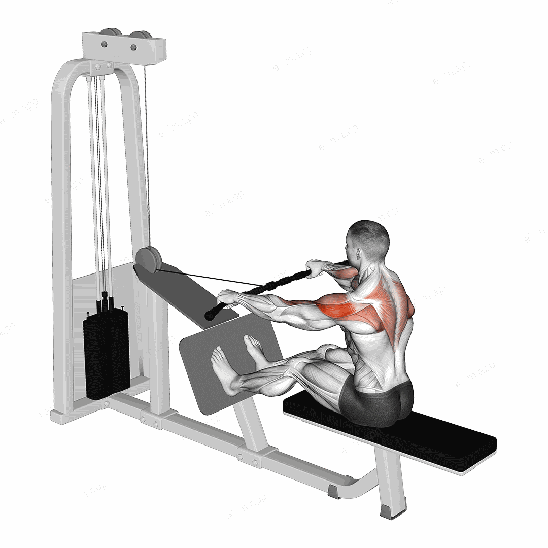 Cable Rear Delt Row exercise targeting Shoulders