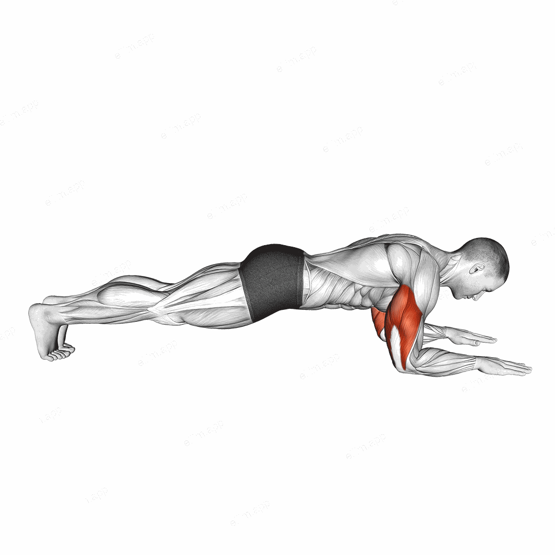 Bodyweight Triceps Extension from Plank Position exercise targeting Upper Arms