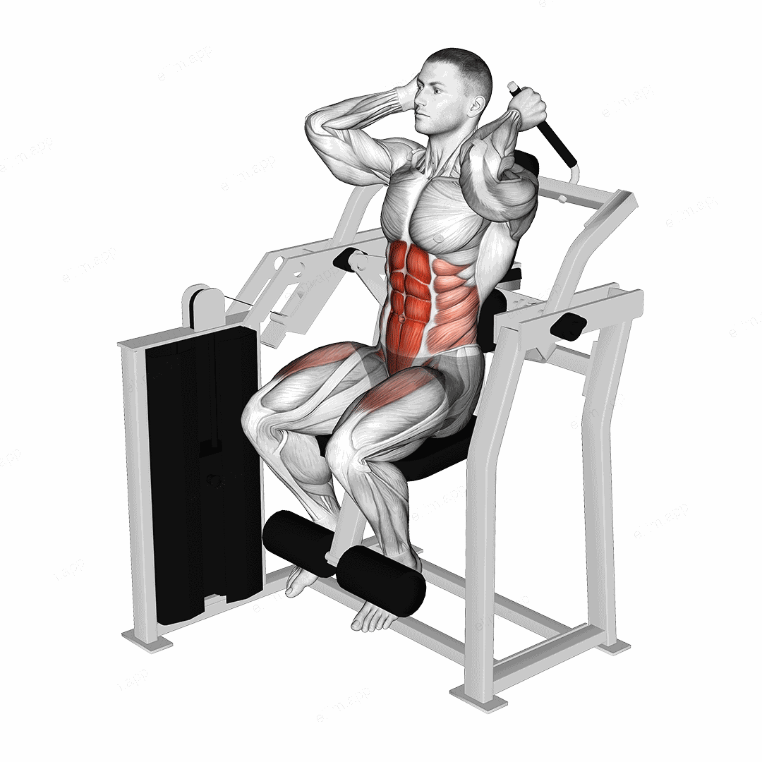 Lever Total Abdominal Crunch exercise targeting Waist and Rectus Abdominis
