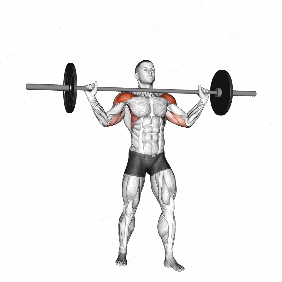 Barbell Standing Wide Military Press exercise targeting Shoulders and Deltoid Anterior