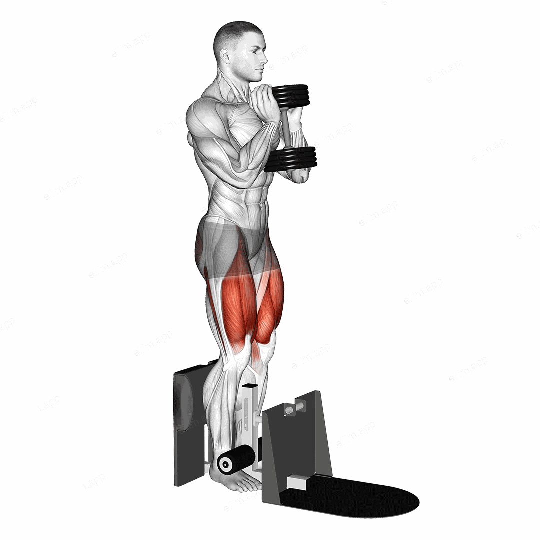 Dumbbell Supported Squat exercise targeting Thighs