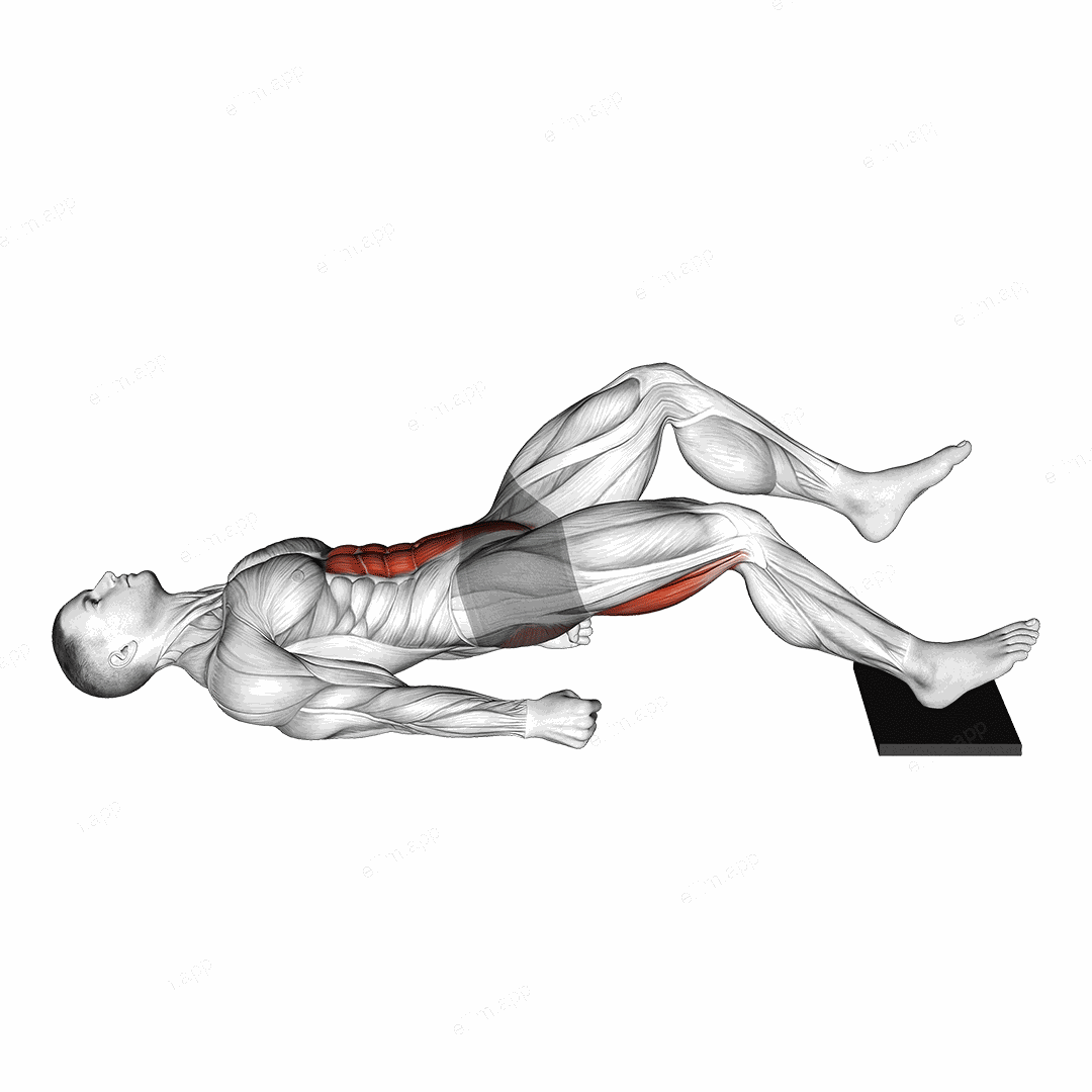 Single Leg Sliding Floor Bridge Curl on Towel exercise targeting Gluteus Maximus and Hamstrings