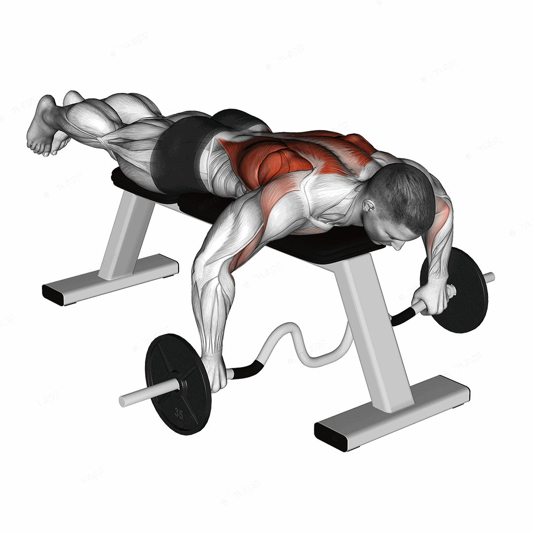 Cambered Bar Lying Row exercise targeting Back and Infraspinatus
