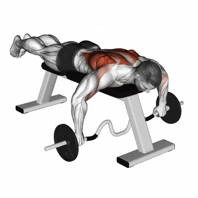 Cambered Bar Lying Row exercise targeting Back and Infraspinatus