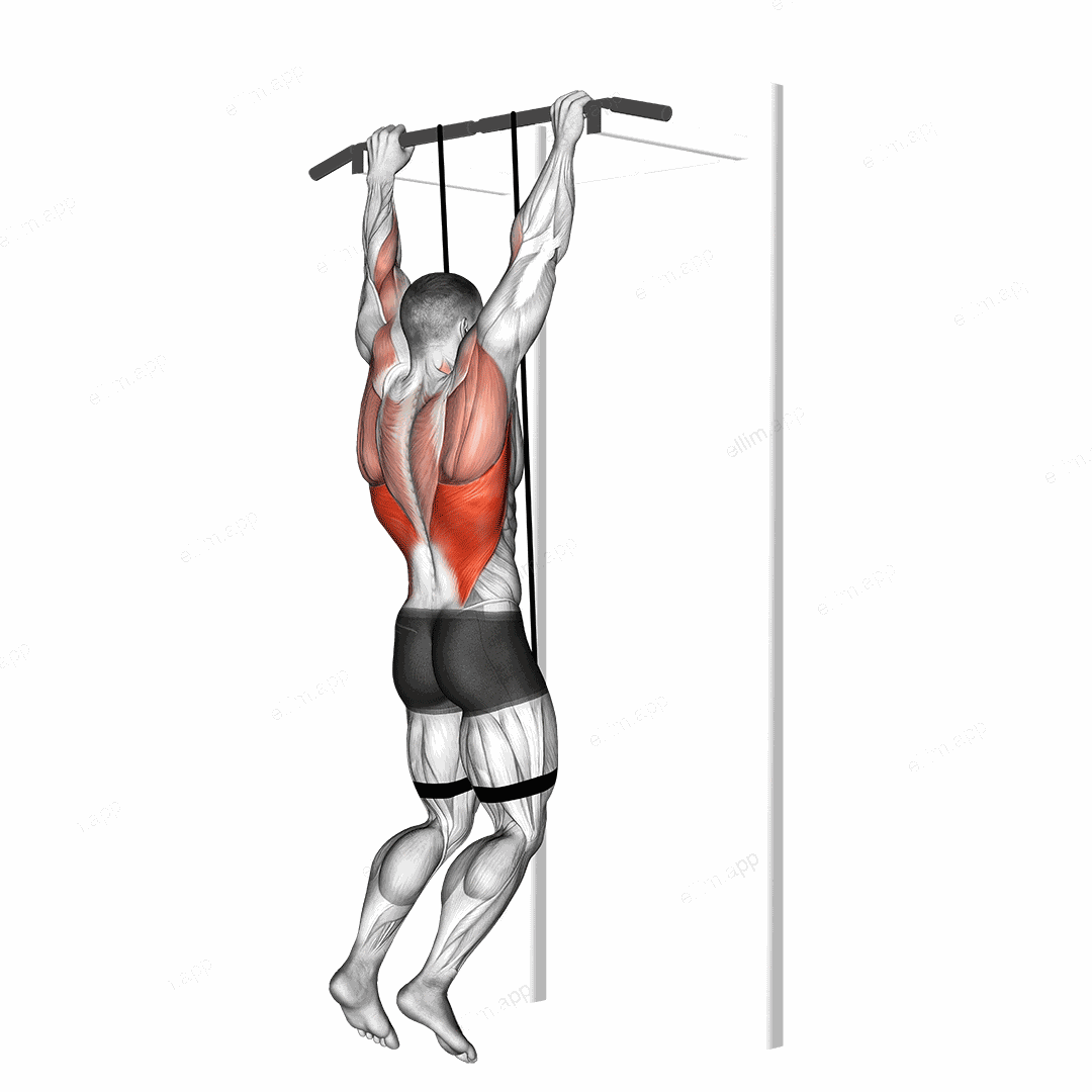 Band assisted pull up exercise targeting Back