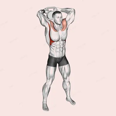 Kettlebell Around Head Rotation exercise targeting Shoulders and Deltoid Anterior