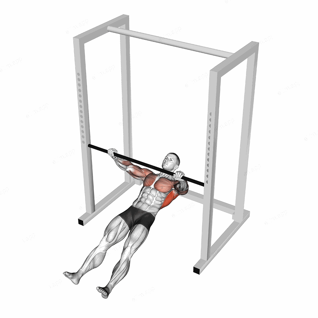 Inverted Row Slide on Floor exercise targeting Back