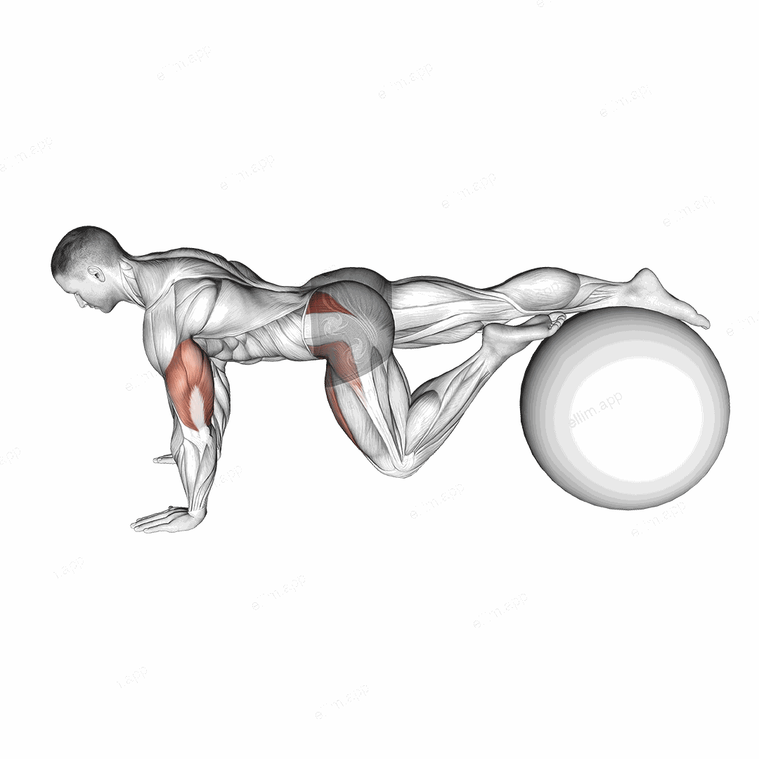 Exercise Ball One Leg Prone Lower Body Rotation exercise targeting Hips and Gluteus Medius