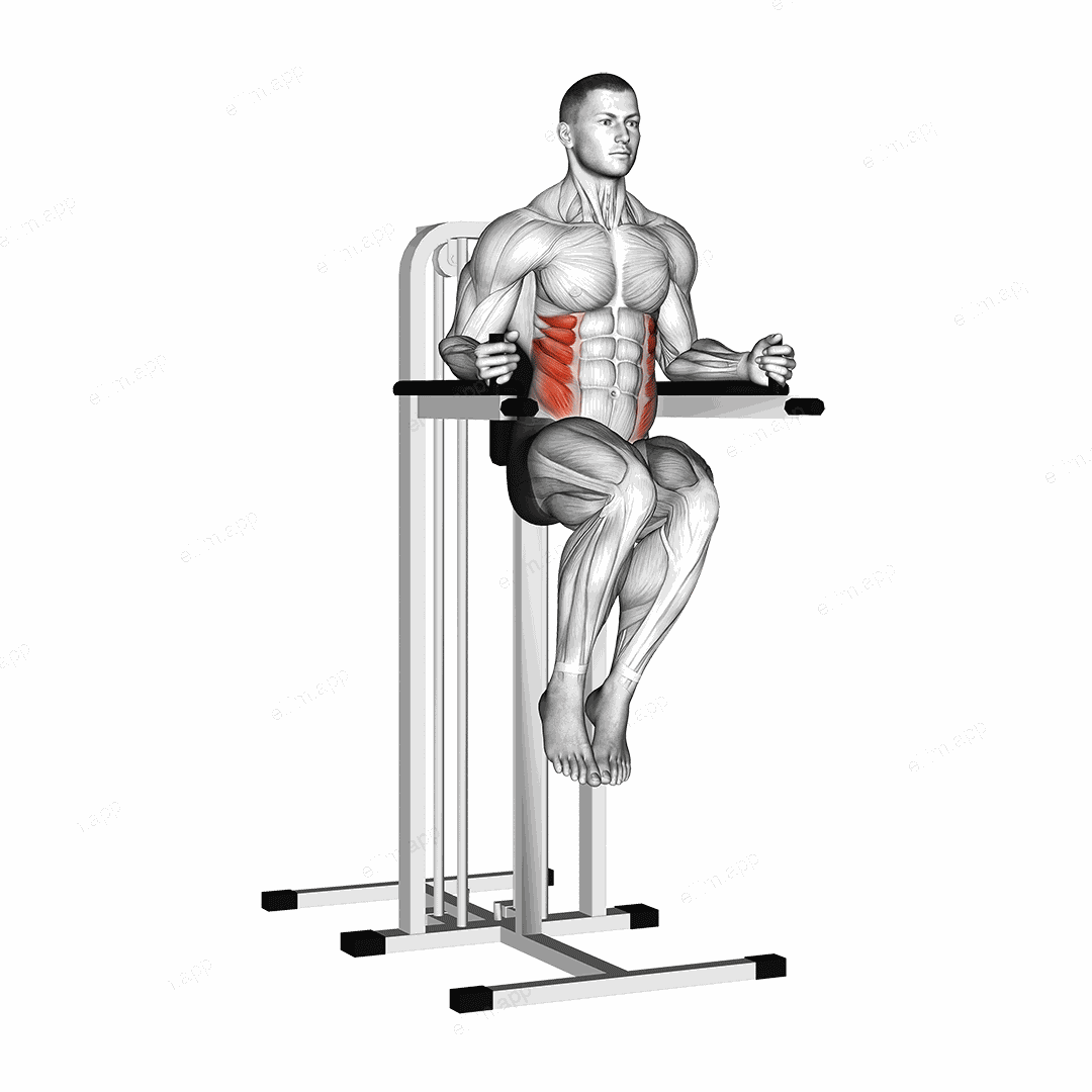 Side Hip (on parallel bars) exercise targeting Waist and Obliques