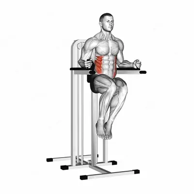 Side Hip (on parallel bars) exercise targeting Waist and Obliques