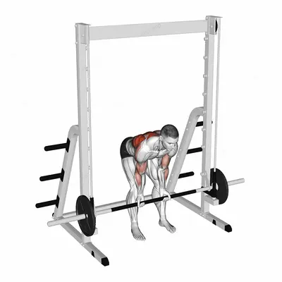 Smith Bent Over Narrow Supinated Grip Row exercise targeting Back and Infraspinatus