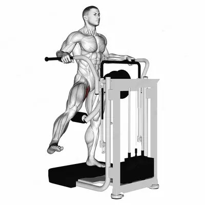 Lever Side Hip Adduction exercise targeting Hips and Gluteus Maximus