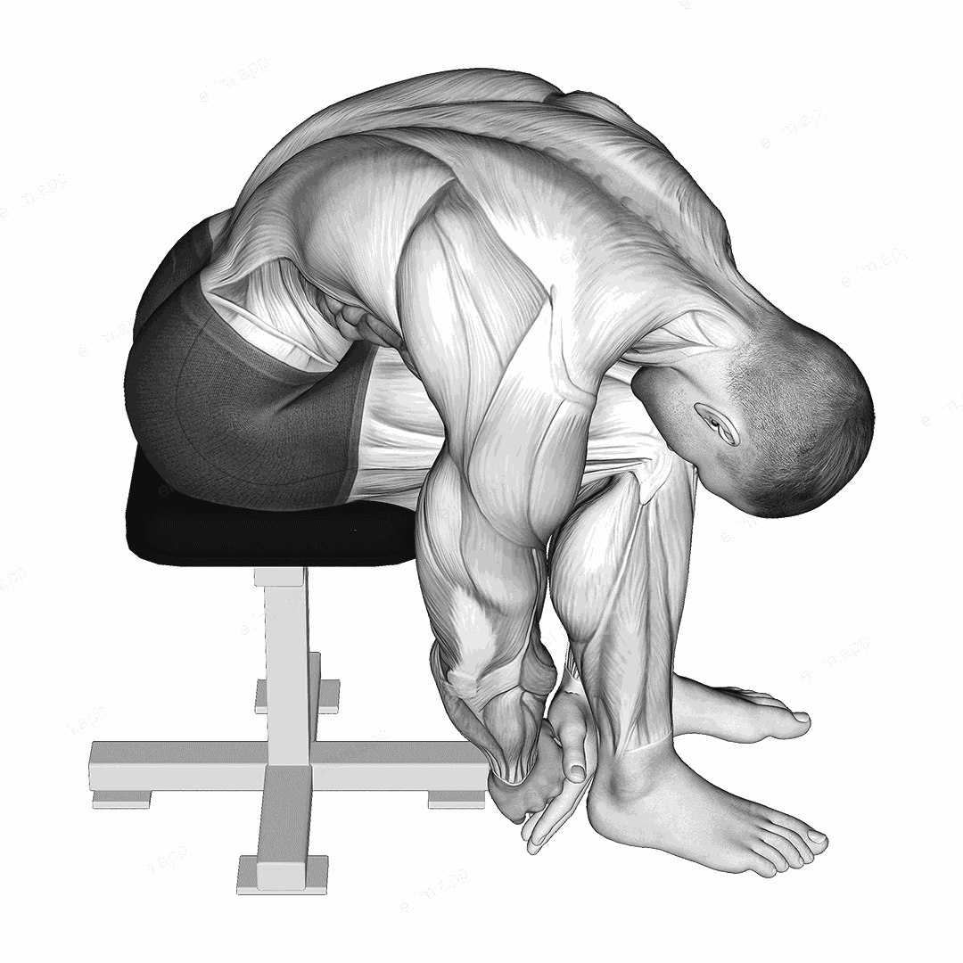 Seated Lower Trunk Extensor Lateral Flexor Stretch exercise targeting Back