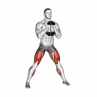 Dumbbell Side Squat exercise targeting Thighs and Gluteus Maximus