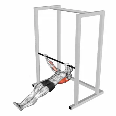 Inverted Wide to Narrow Row exercise targeting Back