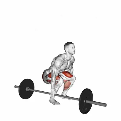 Barbell One Arm Side Deadlift exercise targeting Thighs and Gluteus Maximus