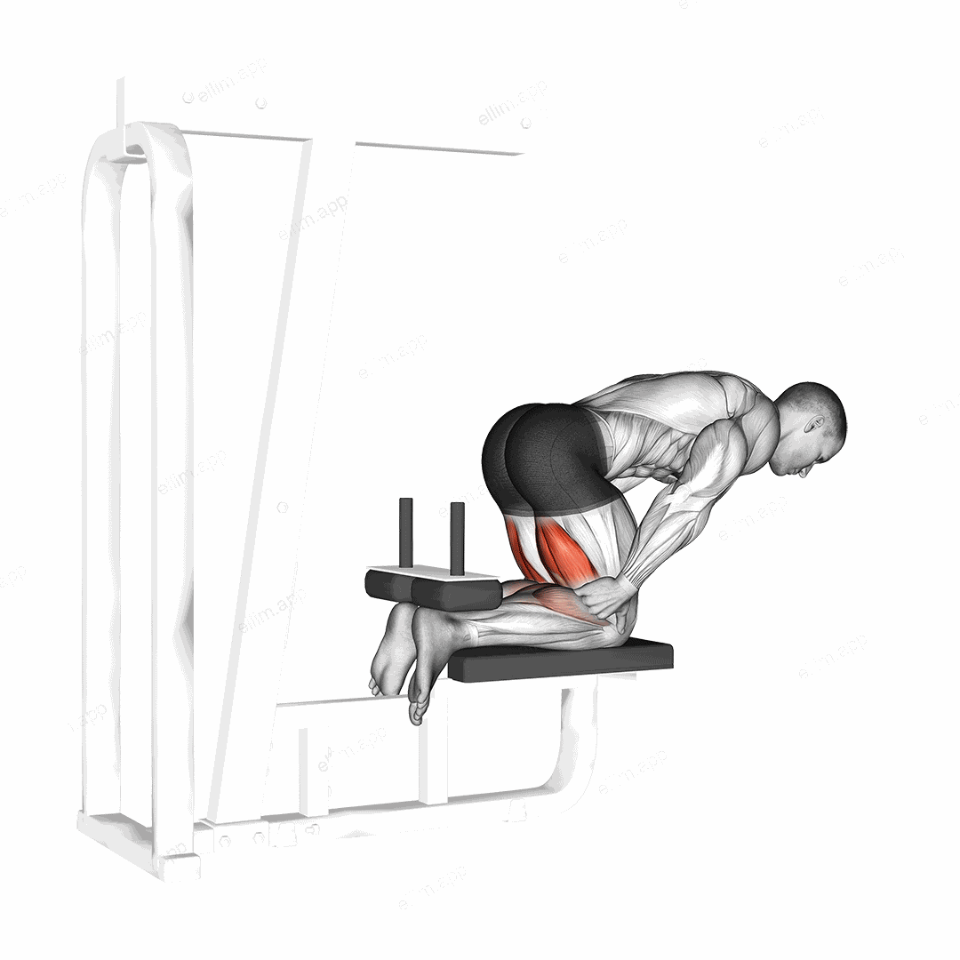 Inverse Leg Curl (bench support) exercise targeting Thighs and Hamstrings
