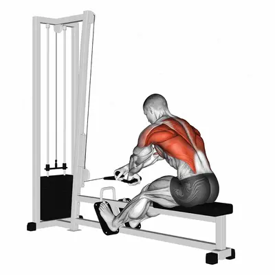 Cable Rope Crossover Seated Row exercise targeting Back and Erector Spinae