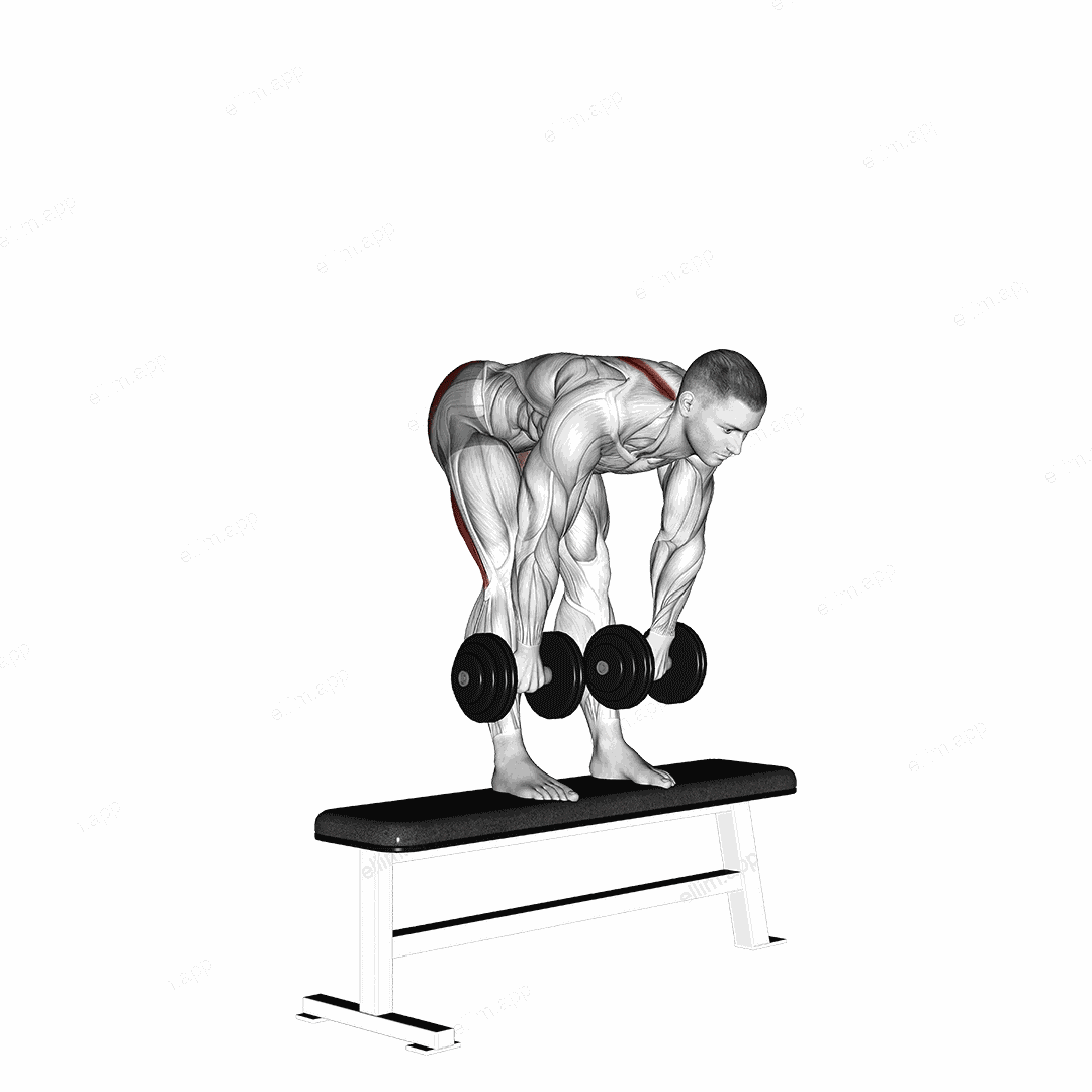 Dumbbell Stiff Leg Deadlift on Bench exercise targeting Hips
