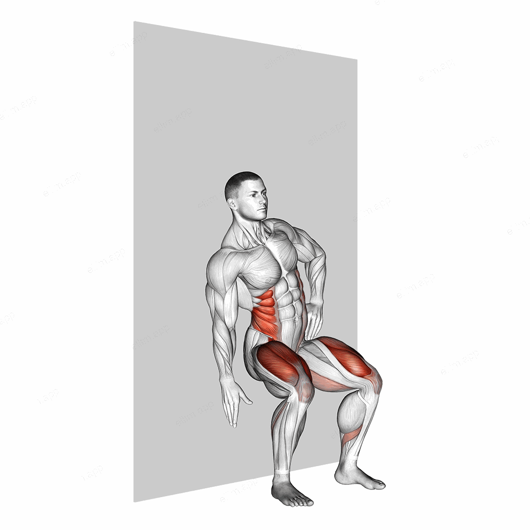 Seated Side Crunch (Wall) exercise targeting Waist and Obliques