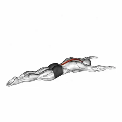 Long Lever Lying Back Extension exercise targeting Hips